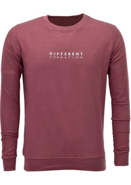 Erkek Spor Mevsimlik Sıfır Yaka Sweatshirt BGL-ST03933