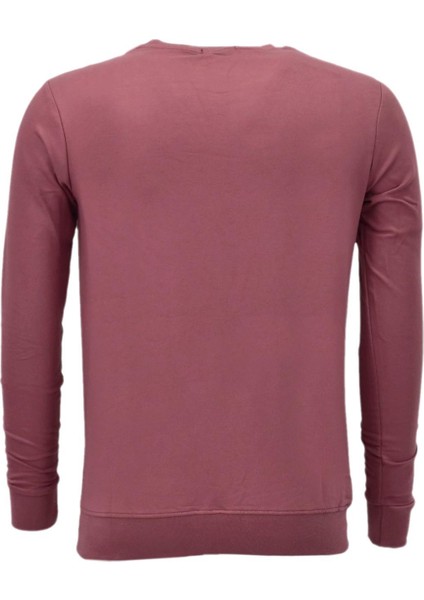 Erkek Spor Mevsimlik Sıfır Yaka Sweatshirt BGL-ST03933 fiyatları