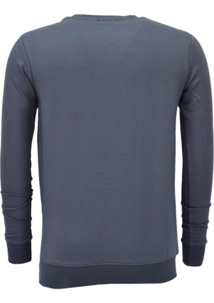 Erkek Spor Mevsimlik Sıfır Yaka Sweatshirt BGL-ST03933 fiyatları
