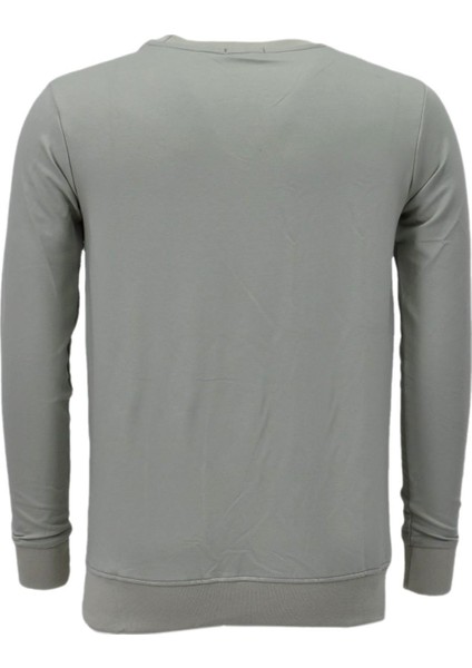 Erkek Spor Mevsimlik Sıfır Yaka Sweatshirt BGL-ST03933 fiyatları