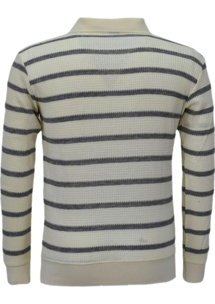 Erkek Spor Çizgili Mevsimlik Triko Polo Yaka Kazak BGL-ST03931 modelleri