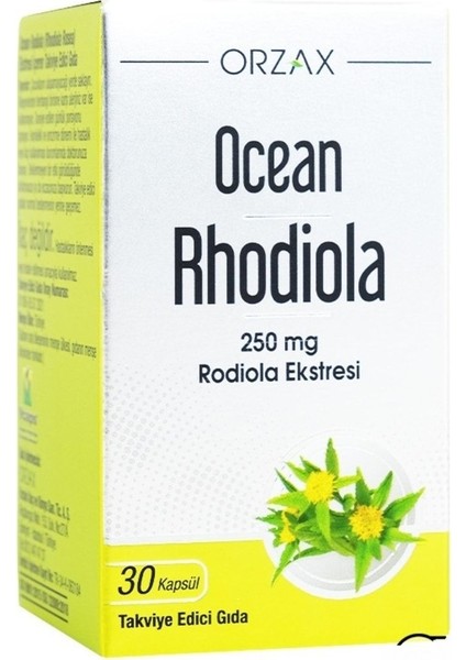 Rhodıola 250 Mg 30 Kapsül