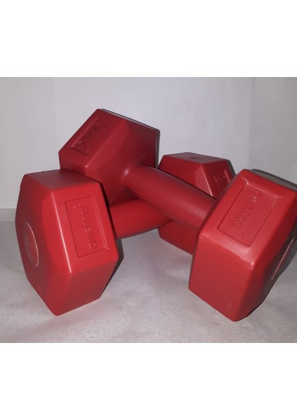 2X2KG Dambıl
