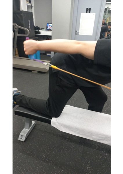 Mavi Renkli Triceps Çift Tutma Kolu, Türkiye Menşei, Sağlam ve Kullanışlı fiyatları