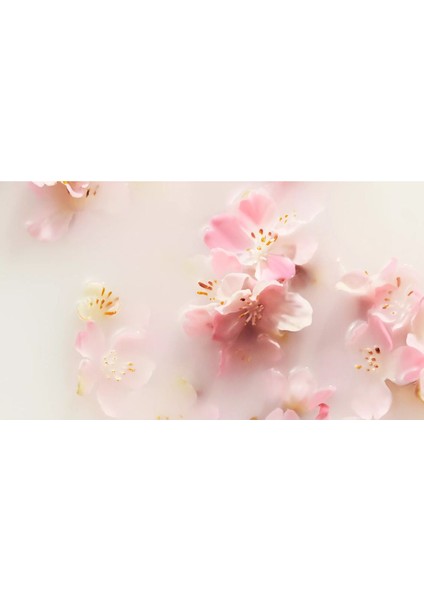 Vücut Kremi 220 ml Rice Milk & Cherry Blossom modelleri