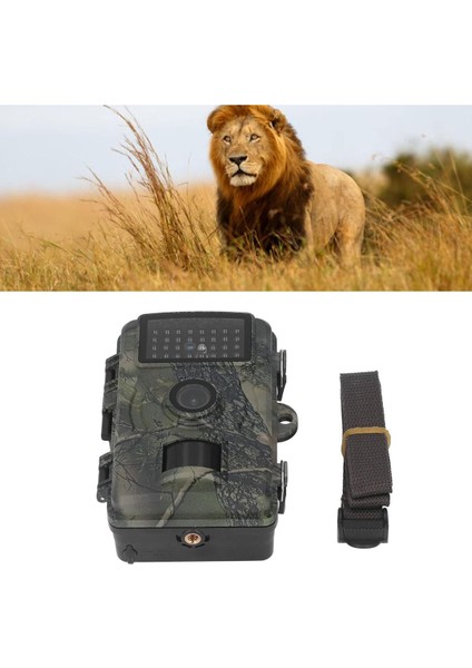 Ensiga Foto Kapan Takip Kamerası Izcilik Avcılık Kamerası Yaban Hayatı Izleme 1080P IP66 Için 38 Led'li