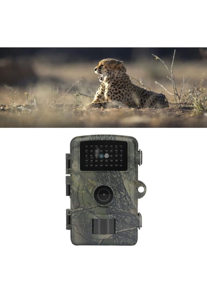 Ensiga Foto Kapan Takip Kamerası Izcilik Avcılık Kamerası Yaban Hayatı Izleme 1080P IP66 Için 38 Led'li modelleri