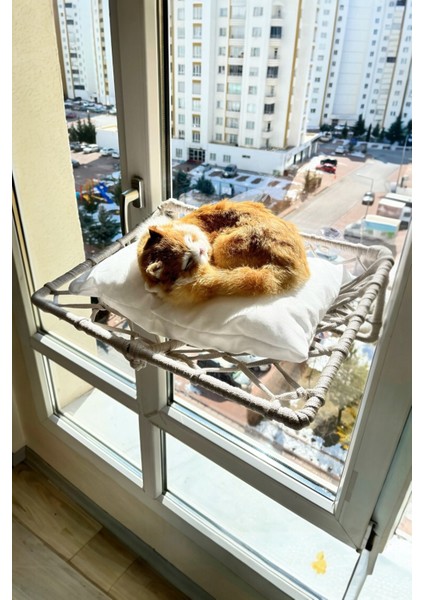 Katlanır Kedi Köpek Cam Yatağı, El Yapımı Vantuzlu Kedi Köpek Cam Hamağı, 45CM*35CM