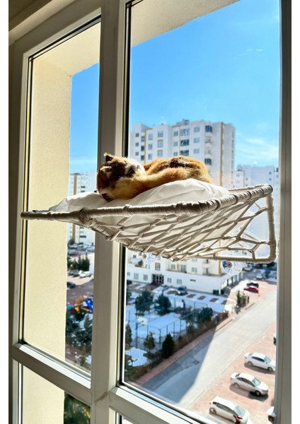 Katlanır Kedi Köpek Cam Yatağı, El Yapımı Vantuzlu Kedi Köpek Cam Hamağı, 45CM*35CM modelleri