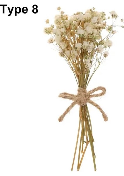 Tip 8 Mini Babysbreath Doğal Taze Kurutulmuş Korunmuş Çiçekler Küçük Doğal Kurutulmuş Çiçekler Buket Basın Dekoratif Fotoğraf Arka Fonu Dekor (Yurt Dışından)