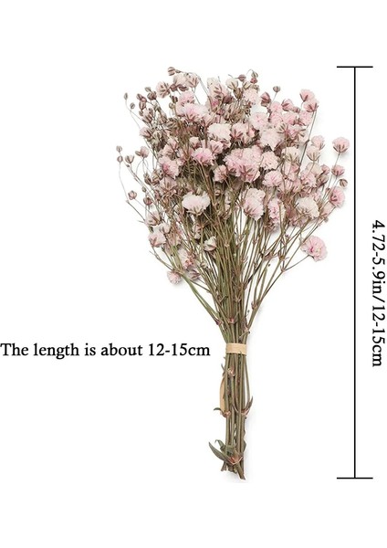 Tip 8 Mini Babysbreath Doğal Taze Kurutulmuş Korunmuş Çiçekler Küçük Doğal Kurutulmuş Çiçekler Buket Basın Dekoratif Fotoğraf Arka Fonu Dekor (Yurt Dışından)