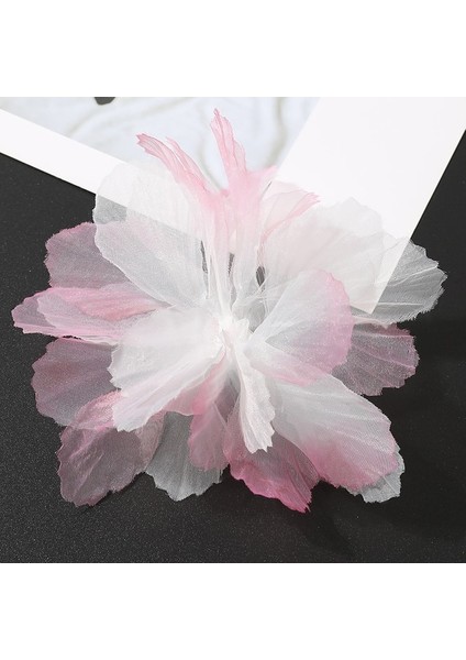 Pembe 10 Adet 10 Adet 3D Çiçek Organze Dantel Yamalar Aplike Gelin Düğün Elbisesi Degrade Dantel Trim Dikiş Aksesuarları Dekorasyon Yamaları (Yurt Dışından)