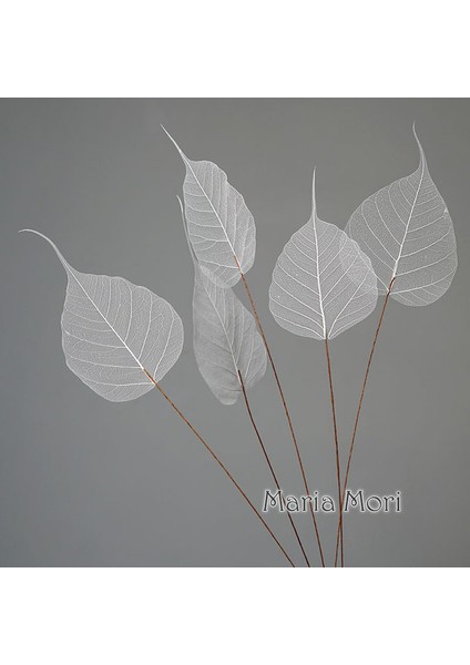 Style2 Beyaz 5 Adet (45-50 cm ) Ev Dekorasyon Lucency Yapraklar Doğal Yaprak Damar Ölümsüz Yapay Çiçekler Düğün Masa Dekorasyon Tel Kök (Yurt Dışından)