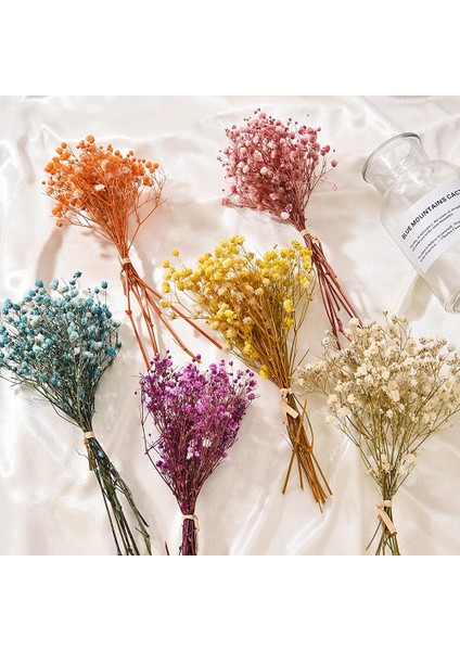 Tip 12 Mini Babysbreath Doğal Taze Kurutulmuş Korunmuş Çiçekler Küçük Doğal Kurutulmuş Çiçekler Buket Basın Dekoratif Fotoğraf Arka Fonu Dekor (Yurt Dışından)