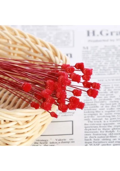 Red2 Mini Dekoratif Kurutulmuş Çiçekler Babysbreath Çiçek Buketi Doğal Bitkiler Düğün Ev Dekorasyon Için Çiçek Korur (Yurt Dışından)