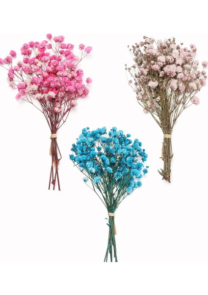 Red2 Mini Dekoratif Kurutulmuş Çiçekler Babysbreath Çiçek Buketi Doğal Bitkiler Düğün Ev Dekorasyon Için Çiçek Korur (Yurt Dışından) fiyatları