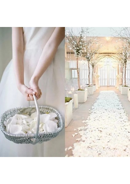 Pembe Beyaz 500 Adet Renkli Gül Yaprağı Yapay Romantik Ipek Gül Yaprakları Düğün Parti Dekorasyon Çiçek Petal Favor Olay Masa Dekor Malzemeleri (Yurt Dışından)