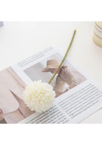 Beyaz 5 Parça 5 Adet Ipek Ortanca Düğün Araba Dekoratif Çiçekler Noel Süslemeleri Vazo Ev Scrapbooking Yapay Bitkiler Için (Yurt Dışından)