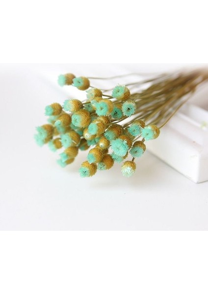 Sky Blue2 Mini Dekoratif Kurutulmuş Çiçekler Babysbreath Çiçek Buketi Doğal Bitkiler Düğün Ev Dekorasyon Için Çiçek Korur (Yurt Dışından)
