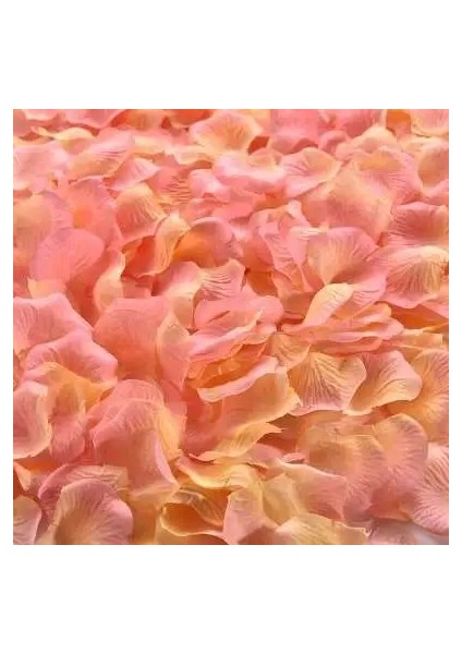 Şampanya Pembesi 100 Adet Yapay Gül Yaprakları Düğün Aksesuarları Düğün Parti Dekorasyon Çiçek Yaprağı Simülasyon Ipek Kumaş Gül Yaprakları 5*5 cm 50% (Yurt Dışından)