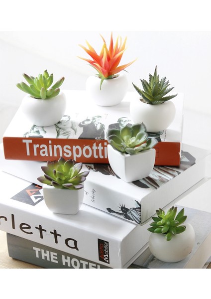 C Buzdolabı Mıknatısları Saksı Yapay Yeşil Etli Bitkiler Bonsai Seti Sahte Çiçek Ipek Vazo Hatıra Tahta Manyetik Çıkartmalar (Yurt Dışından)