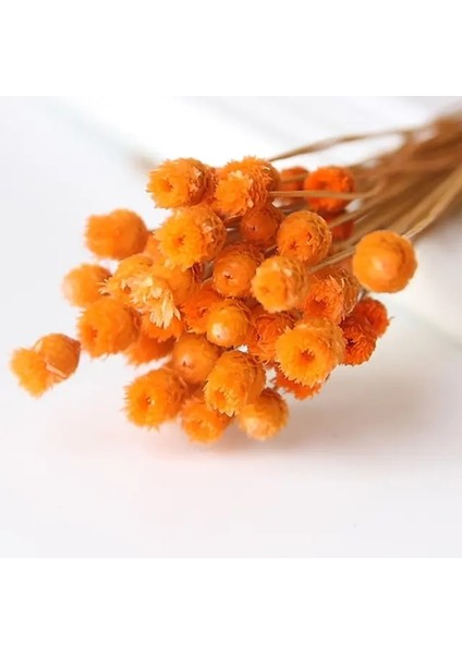 Orange2 Mini Dekoratif Kurutulmuş Çiçekler Babysbreath Çiçek Buketi Doğal Bitkiler Düğün Ev Dekorasyon Için Çiçek Korur (Yurt Dışından)