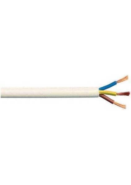 3x2,5 mm² Ttr Kablo Çok Telli Yumuşak Beyaz H05VV-F-5 Metre