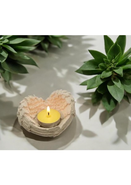 Tepsi ve Kanat Kalp indirimleri