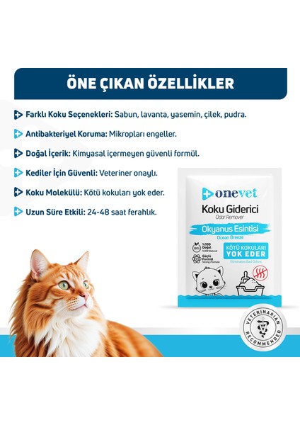 Kedi Kumu Koku Okyanus Esintisi 25 Gr. Oc202B15 indirimleri