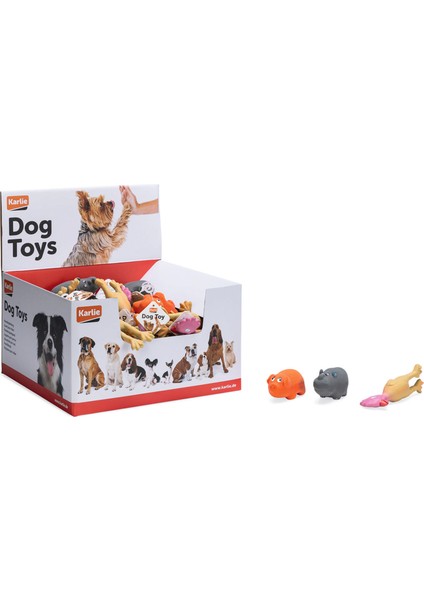 Lateks Sesli Köpek Oyuncağı Renkli