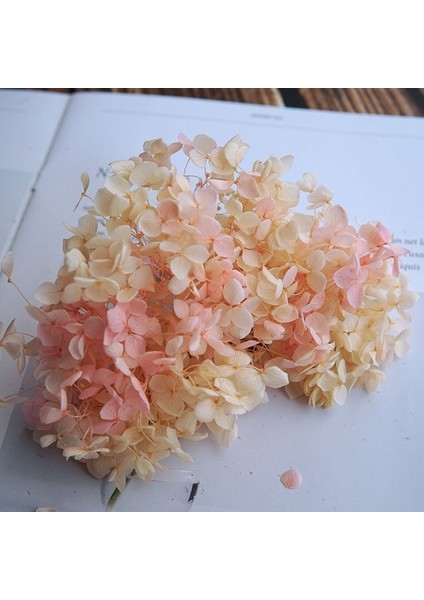Degrade Renk 121 5g Degrade Renk Korunmuş Ortanca Ev Dekorasyon Düğün Dekorasyon Küçük Yaprak Anna Ortanca Epoksi El Yapımı Dıy Malzeme (Yurt Dışından)