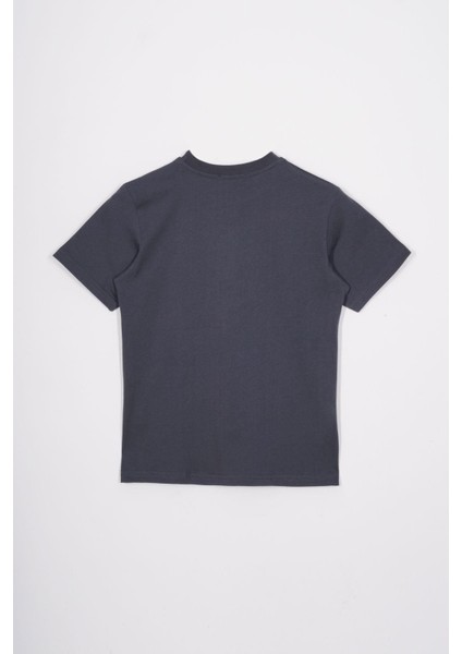 Bisiklet Yaka Kaplan Baskılı Füme Renk Erkek Çocuk Tshirt modelleri