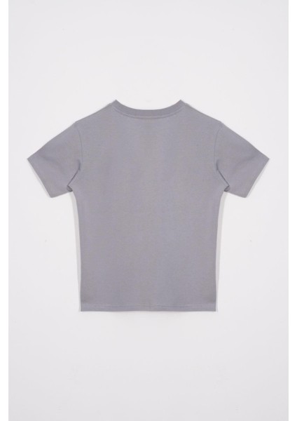 Bisiklet Yaka Kaplan Baskılı Gri Renk Erkek Çocuk Tshirt modelleri