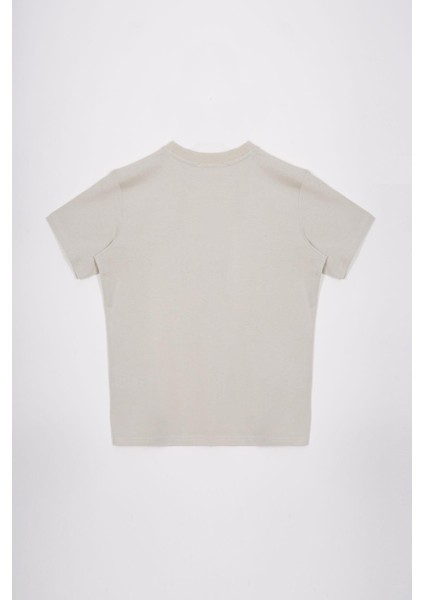 Bisiklet Yaka Kaplan Baskılı Taş Renk Erkek Çocuk Tshirt modelleri