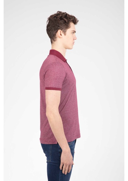 Brad Polo Erkek Tişört Bordo modelleri