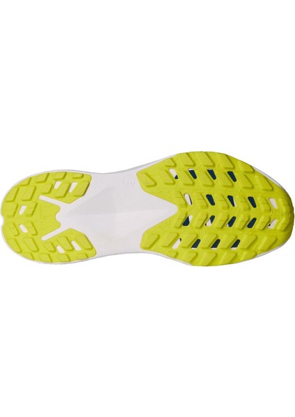 Erkek Altamesa 300 Ayakkabı NF0A8A9R9261
