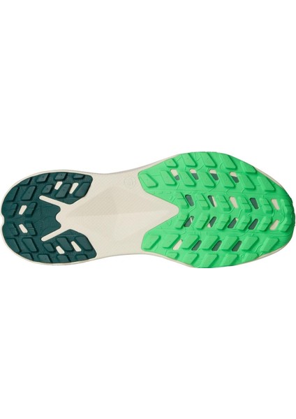 Erkek Altamesa 300 Ayakkabı NF0A8A9R7241