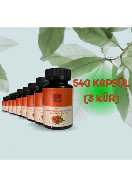 9 Adet Kır Iğdesi Omega 7 500MG 60 Kapsül