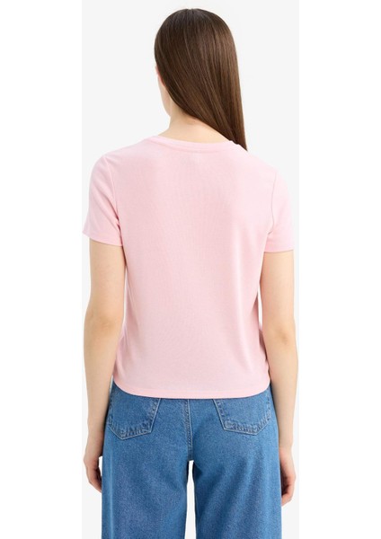 Slim Fit Dar Kesim Bisiklet Yaka Ribana Kısa Kollu Tişört F0366AX25SP