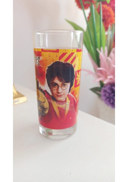 Harry Potter ve Sırlar Odası Temalı Orijinal Cam Bardak