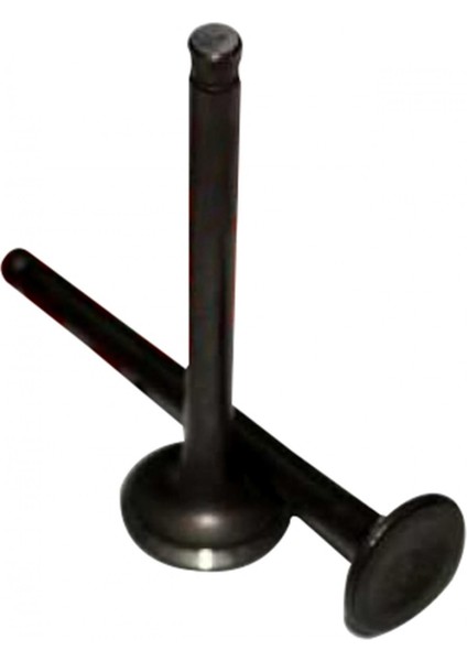 Emme Egzoz Sübap Takımı Mondıal Revıval 50cc Moto Gus