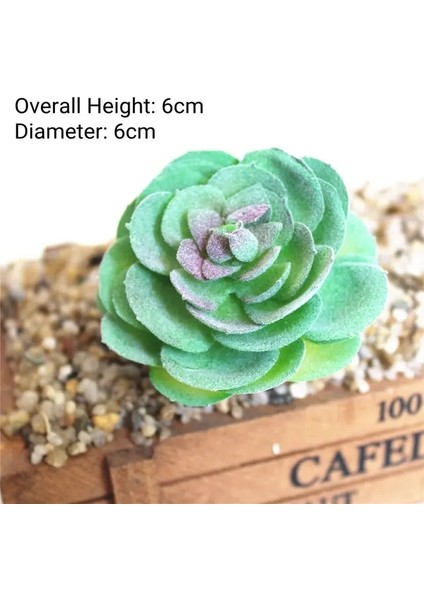Yuan x in Mei Yeşil Akın Yapay Succulents Bitkiler Ev Bahçe Dekorasyonu Çiçek Aranjmanı Banyo Aksesuarları Planta Yapay (Yurt Dışından)