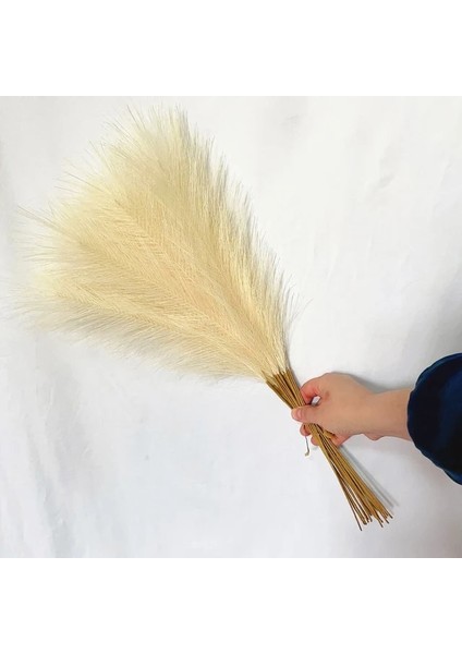 Sarı 55 cm 10PCS 5/10/20PCS 55 cm Yapay Pampas Çim Sahte Görkemli Çim Vazo Dolgu Çiçek Ev, Oturma Odası, Mutfak, Parti, Boho Dekor Için (Yurt Dışından)