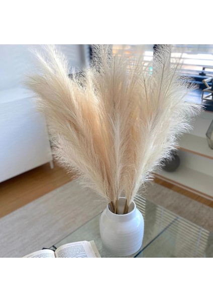 Sarı 55 cm 10PCS 5/10/20PCS 55 cm Yapay Pampas Çim Sahte Görkemli Çim Vazo Dolgu Çiçek Ev, Oturma Odası, Mutfak, Parti, Boho Dekor Için (Yurt Dışından)