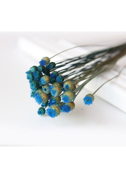Kraliyet Blue2 Mini Dekoratif Kurutulmuş Çiçekler Babysbreath Çiçek Buketi Doğal Bitkiler Düğün Ev Dekorasyon Için Çiçek Korur (Yurt Dışından)