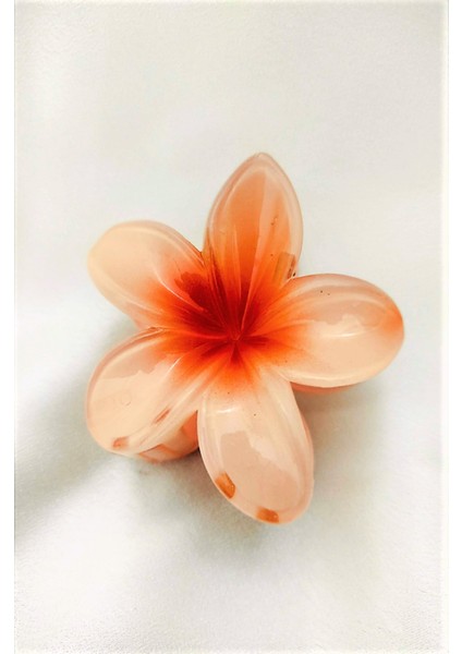 Ten Lotus Çiçek Parlak Akrilik Kadın Vintage Mandal Toka modelleri