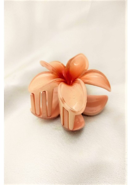 Ten Lotus Çiçek Parlak Akrilik Kadın Vintage Mandal Toka fırsatları