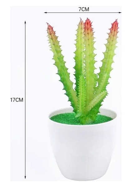 1 Adet Mini Yapay Aloe Bitkiler Bonsai Küçük Simüle Ağaç Saksı Bitkileri Sahte Çiçekler Ofis Masası Saksı Süsler Ev Bahçe Dekor (Yurt Dışından)