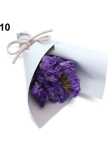 Stil 10 Mini Babysbreath Doğal Taze Kurutulmuş Korunmuş Çiçekler Küçük Doğal Kurutulmuş Çiçekler Buket Basın Dekoratif Fotoğraf Arka Fonu Dekor (Yurt Dışından)