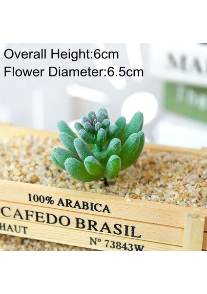 Bei Hua Küçük Orta Büyük Yeşil Akın Yapay Succulents Bitkiler Ev Yatak Odası Oturma Odası Masaüstü Dekorasyon Sahte Bitkiler Bonsai (Yurt Dışından)